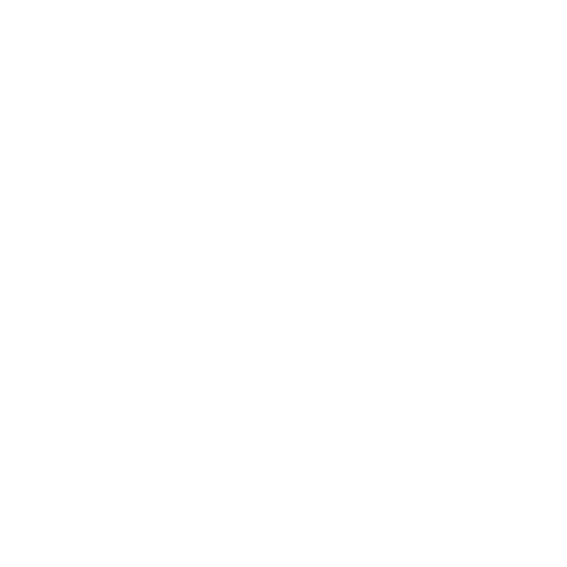 Commercial Visa